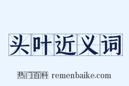 头叶近义词是什么意思的图片